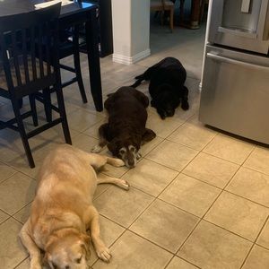 Meet your Posher, Khyla